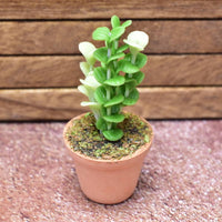 Miniature parts Potted foliage plant [PNL28] (1/12 scale)