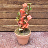 Miniature parts Potted foliage plant [PNL30] (1/12 scale)