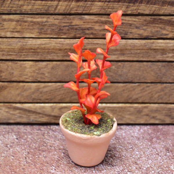 Miniature parts Potted foliage plant [PNL31] (1/12 scale)