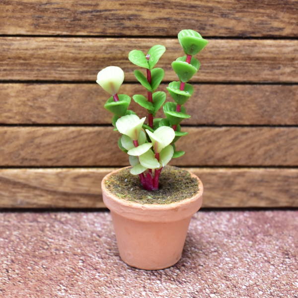 Miniature parts Potted foliage plant [PNL32] (1/12 scale)