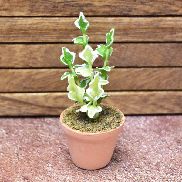 Miniature parts Potted foliage plant [PNL33] (1/12 scale)