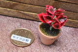 Miniature parts Potted foliage plant [PNL34] (1/12 scale)