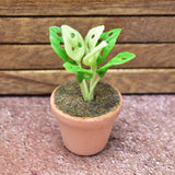 Miniature parts Potted foliage plant [PNL36] (1/12 scale)