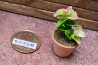 Miniature parts Potted foliage plant [PNL37] (1/12 scale)