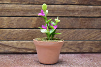 Miniature parts Potted foliage plant [PNL38] (1/12 scale)