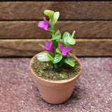 Miniature parts Potted foliage plant [PNL38] (1/12 scale)