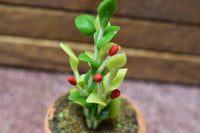 Miniature parts Potted foliage plant [PNL40] (1/12 scale)