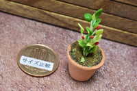 Miniature parts Potted foliage plant [PNL40] (1/12 scale)