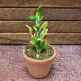 Miniature parts Potted foliage plant [PNL40] (1/12 scale)