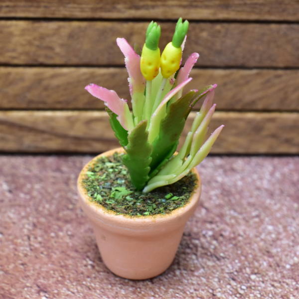 Miniature parts Potted foliage plant [PNL41] (1/12 scale)