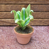 Miniature parts Potted foliage plant [PNL43] (1/12 scale)