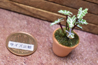 Miniature parts Potted foliage plant [PNL44] (1/12 scale)