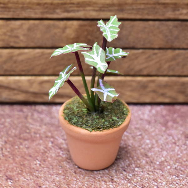 Miniature parts Potted foliage plant [PNL44] (1/12 scale)